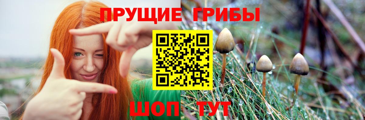 Дербент  Псилоцибиновые грибы GOLDEN TEACHER  где продают наркотики  Вход с VPN 